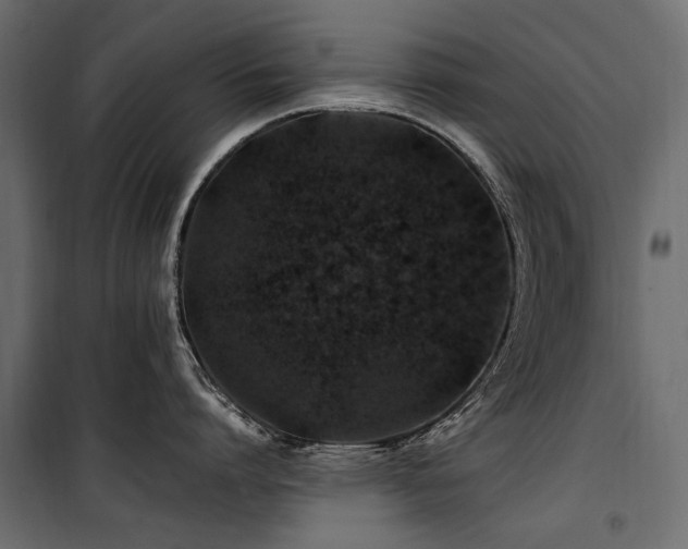 X0000100760864200806191206