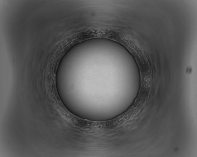 X0000100760865200806191205