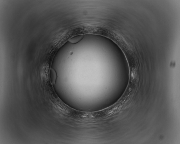 X0000100760867200806191205