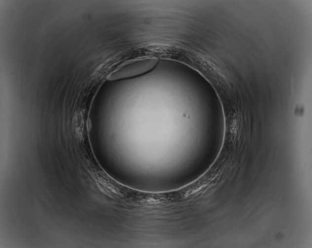 X0000100760868200806191205