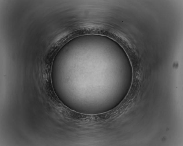 X0000100760869200806191205