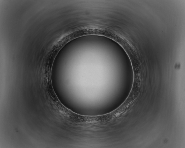 X0000100760870200806191205