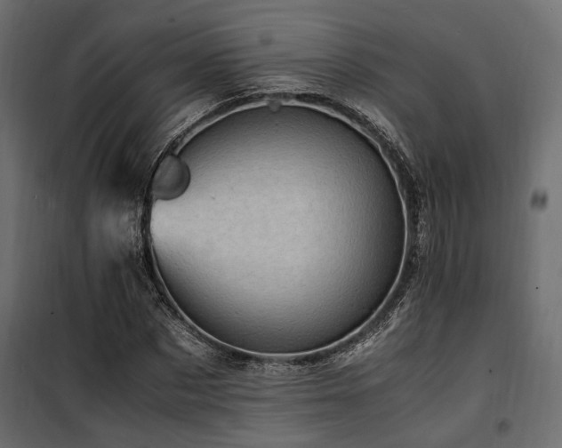 X0000100760873200806191205