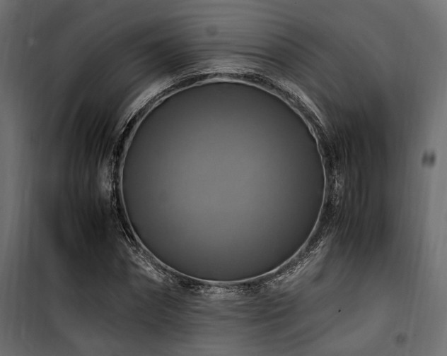 X0000100760874200806191205