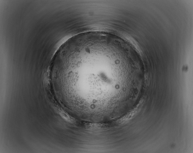 X0000100760875200806191205