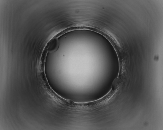 X0000100760876200806191205