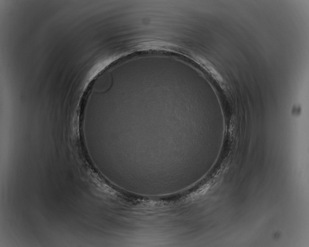 X0000100760877200806191205