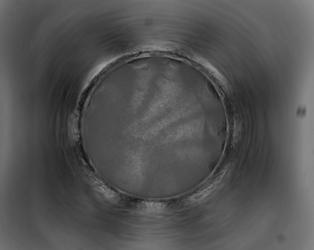 X0000100760878200806191205