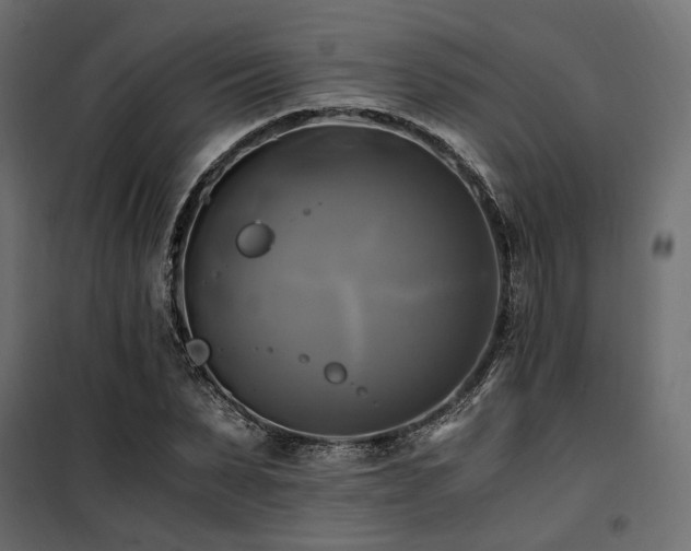 X0000100760879200806191205