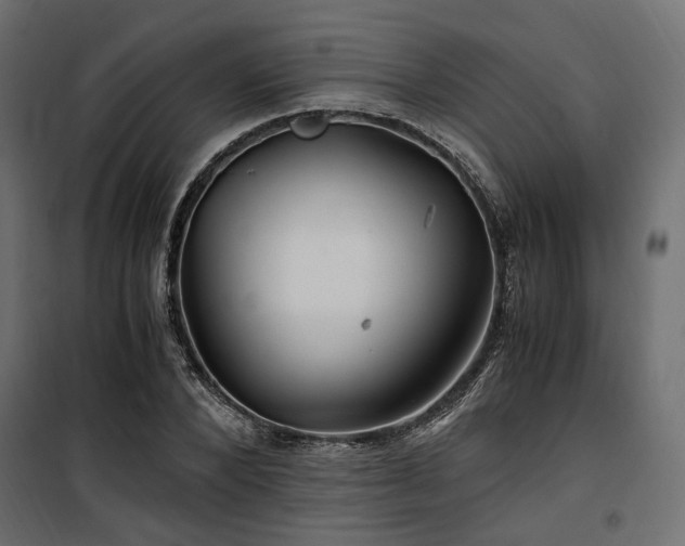 X0000100760880200806191205