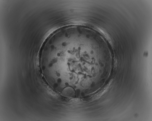 X0000100760883200806191205