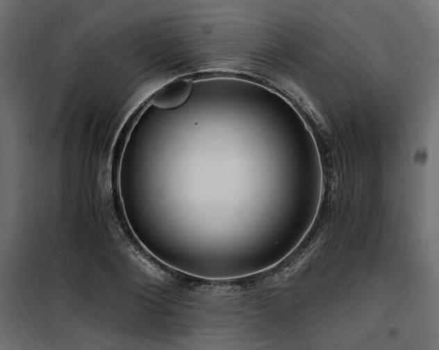 X0000100760884200806191205