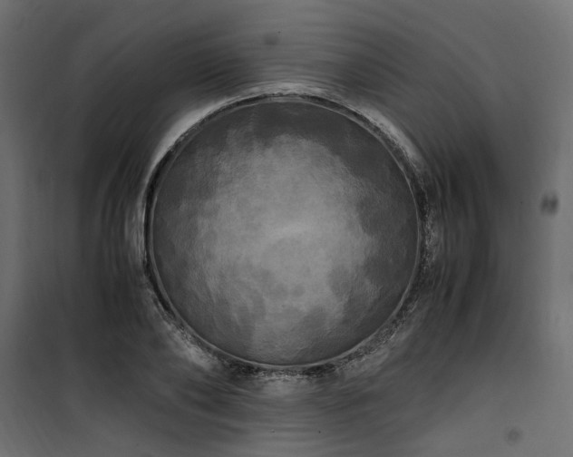 X0000100760886200806191205