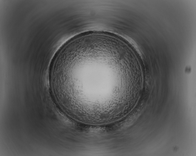 X0000100760887200806191205