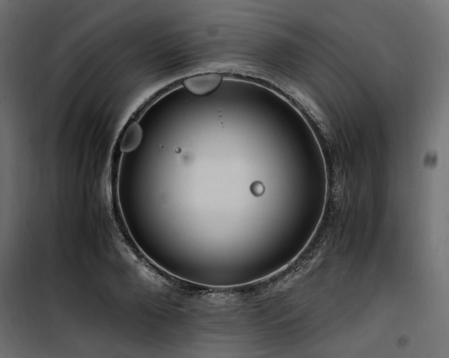 X0000100760888200806191205