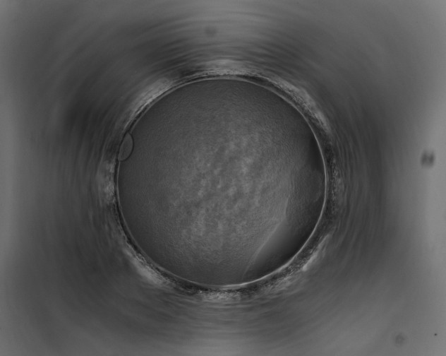 X0000100760889200806191205