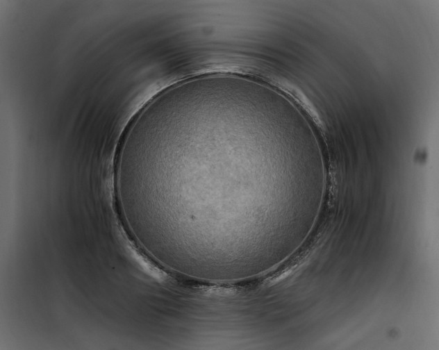 X0000100760890200806191205