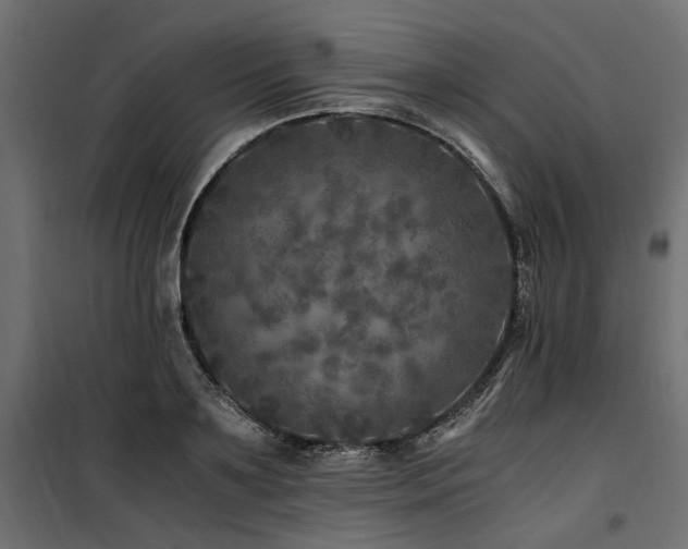 X0000100760891200806191205