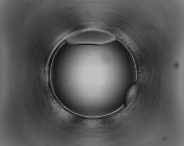 X0000100760892200806191205