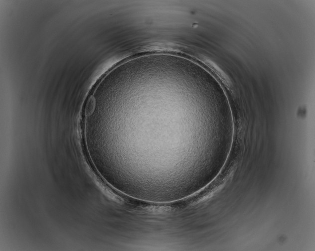 X0000100760893200806191205