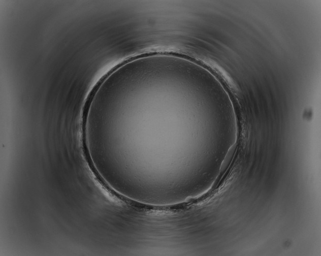 X0000100760894200806191204