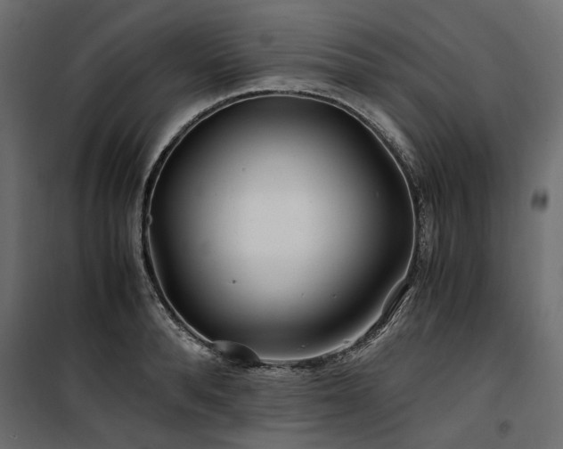 X0000100760896200806191204