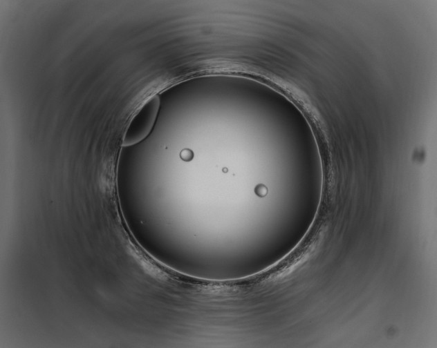 X0000100760897200806191204