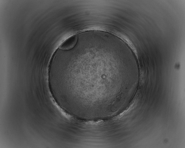 X0000100760898200806191204