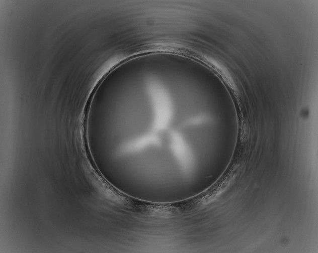 X0000100760899200806191204