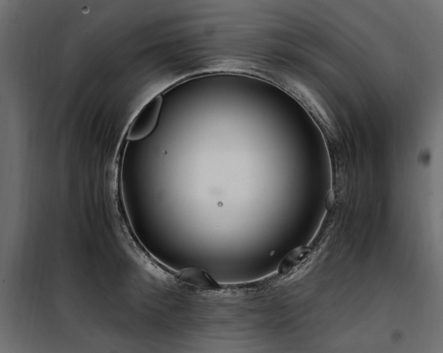 X0000100760900200806191204