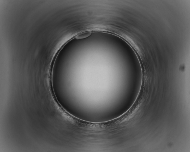 X0000100760901200806191204