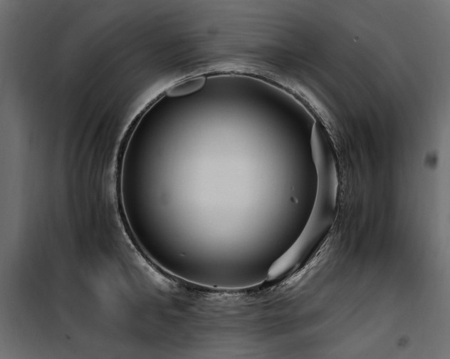 X0000100760902200806191204