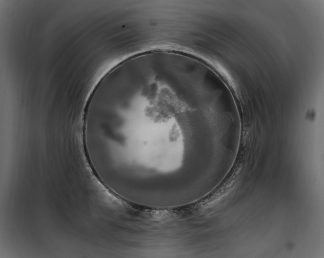 X0000100760903200806191204