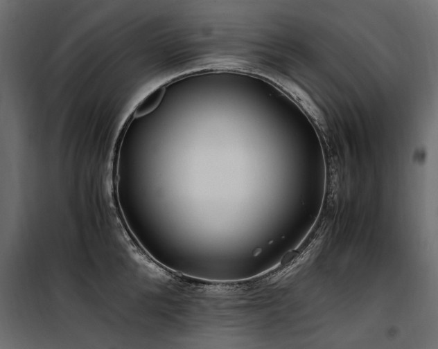 X0000100760904200806191204