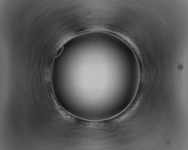 X0000100760905200806191204