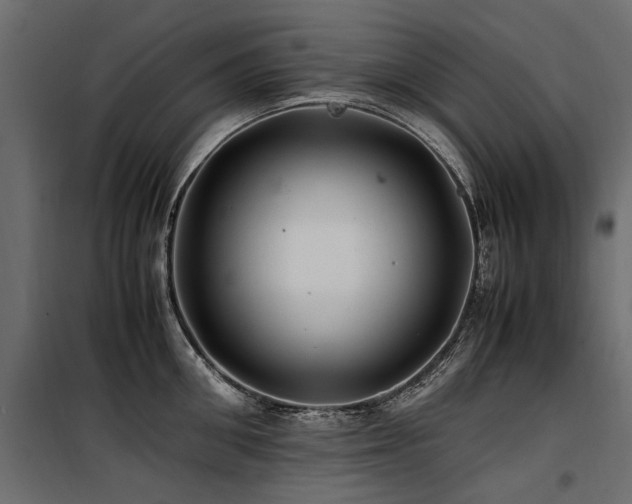 X0000100760906200806191204