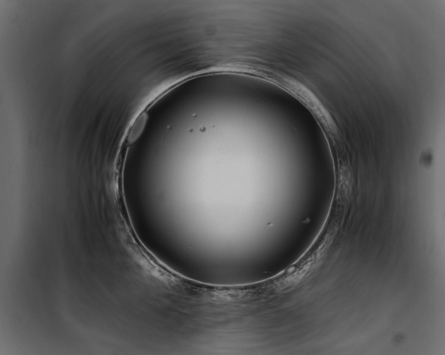 X0000100760908200806191204