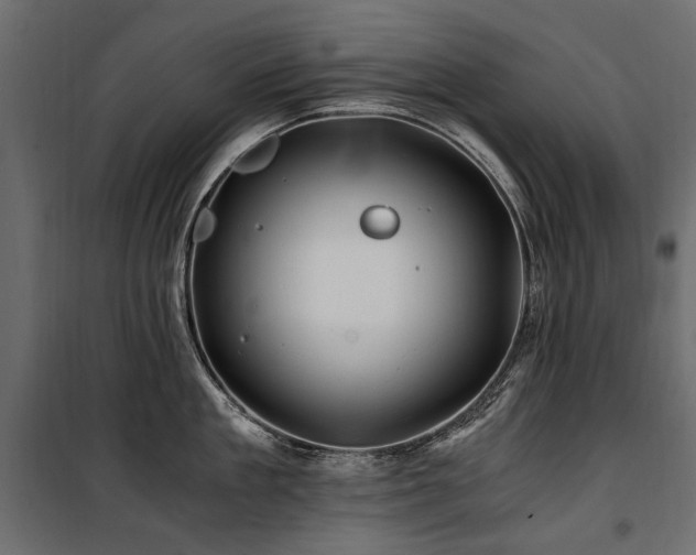 X0000100760909200806191204