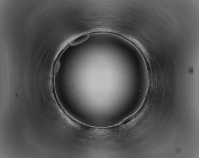 X0000100760910200806191204