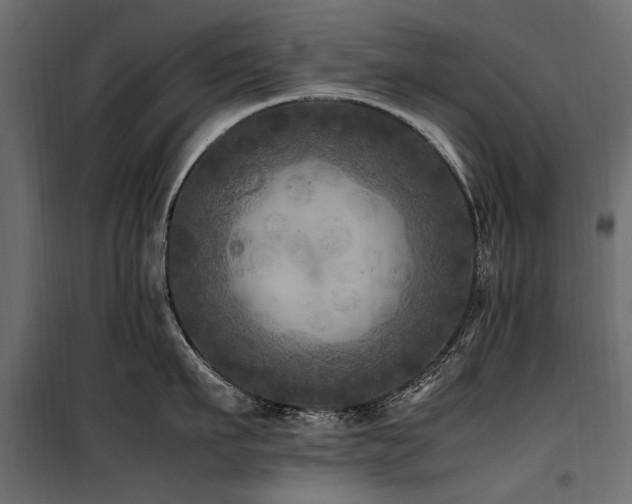 X0000100760911200806191204