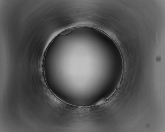 X0000100760912200806191204