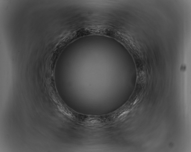 X0000100760913200806191204