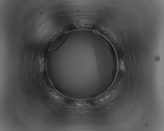 X0000100760915200806191204