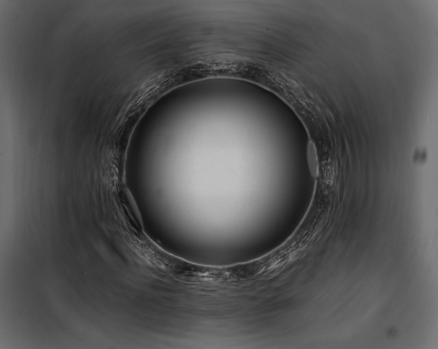 X0000100760916200806191204