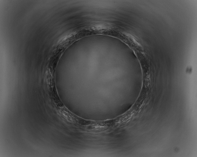 X0000100760917200806191204