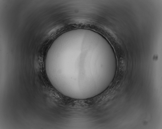 X0000100760918200806191204