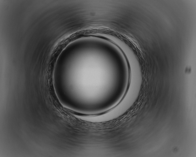 X0000100760920200806191204