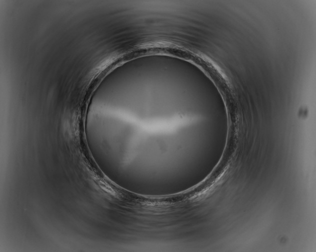 X0000100760921200806191204