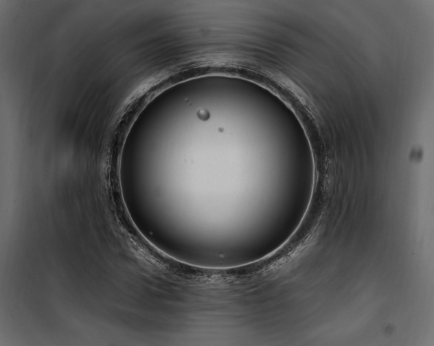 X0000100760922200806191204