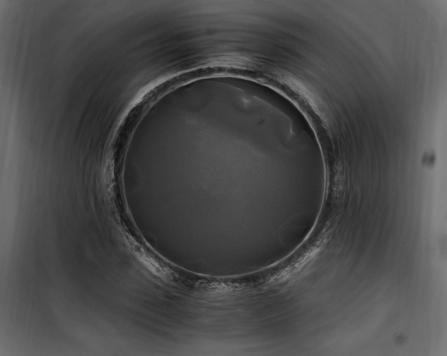 X0000100760923200806191204